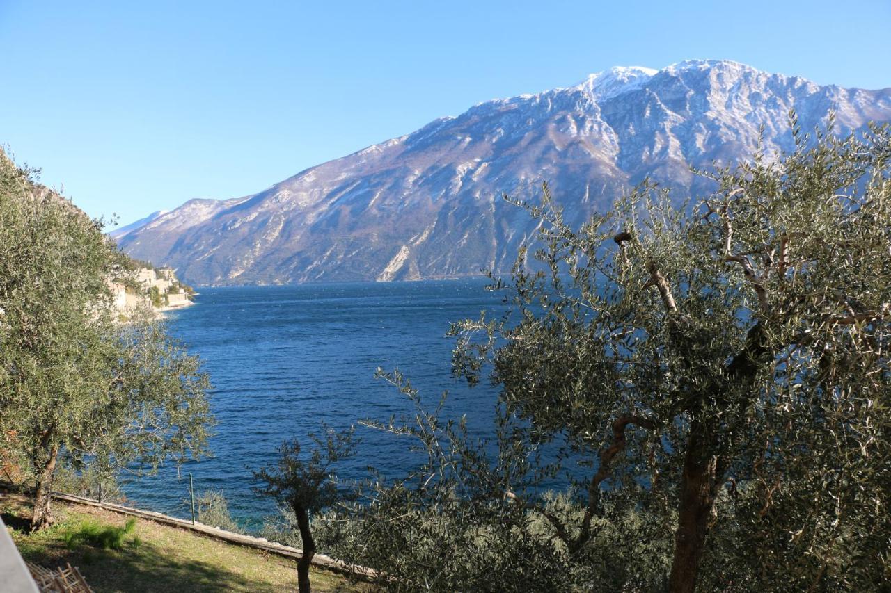La Casa Sul Lago Apartments - Olive Tree Apartment Limone sul Garda Esterno foto